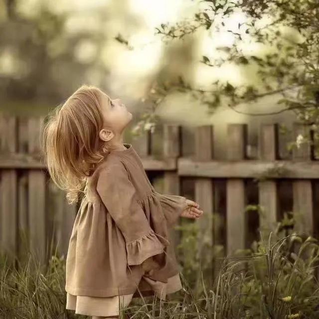 情人节卖花时间段,情人节卖花术语