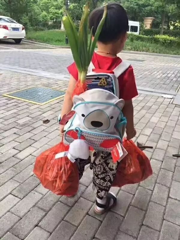 葱是菜还是调料,葱是荤