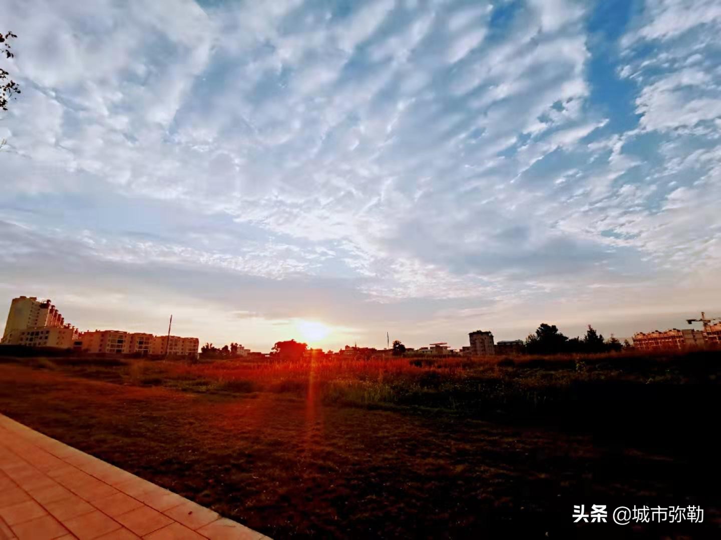 南山：怀孕的男人（组诗）