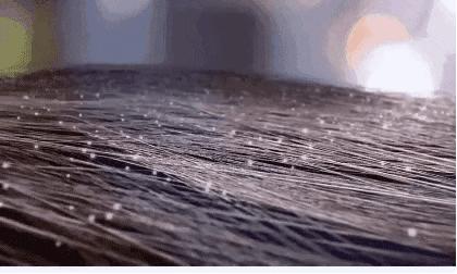 去头屑去螨虫哪个洗发水最有效,去头屑去螨虫用哪个洗发水最有效