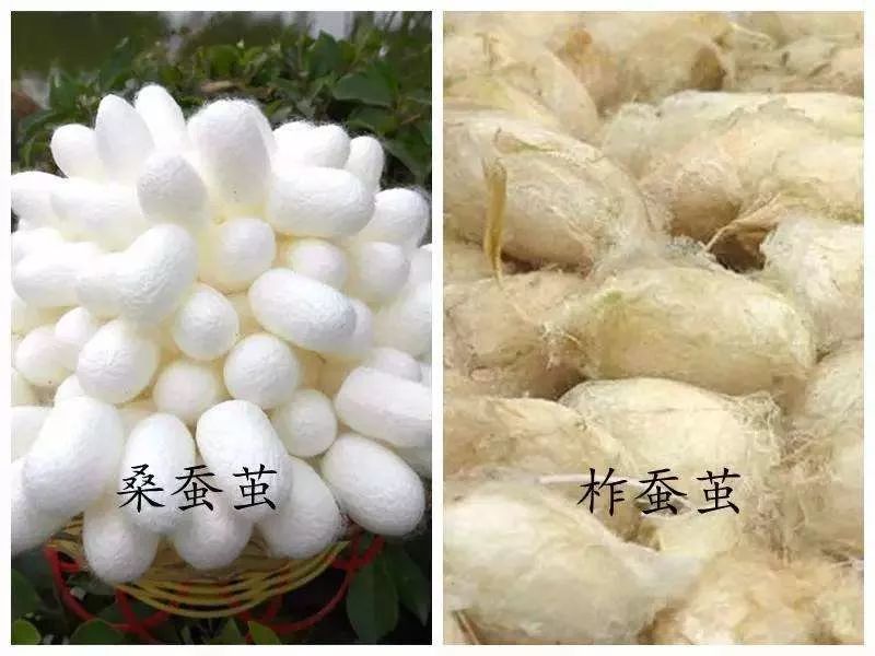 各种被芯的使用年限,各种被芯对比