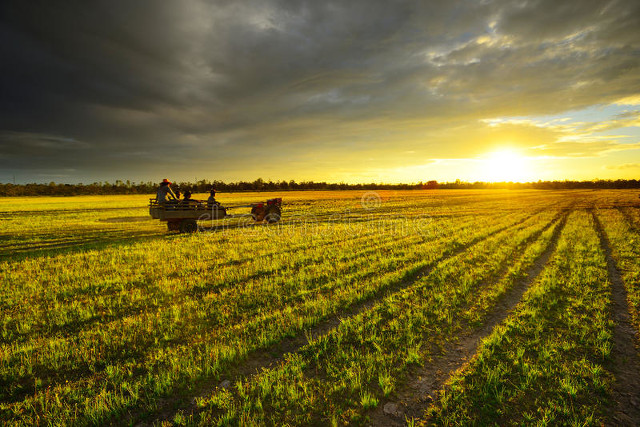 吸引力法则钱只会流向不缺钱的人,吸引力法则有钱