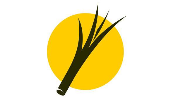 毛发开叉变白,毛发开叉是什么意思