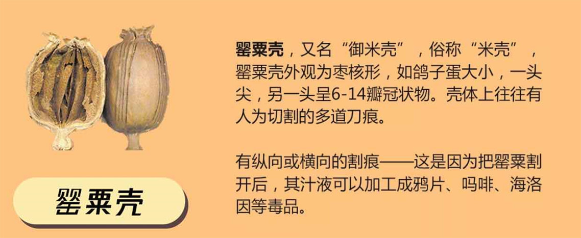 特殊时期外卖火锅,特殊时期能点外卖吗