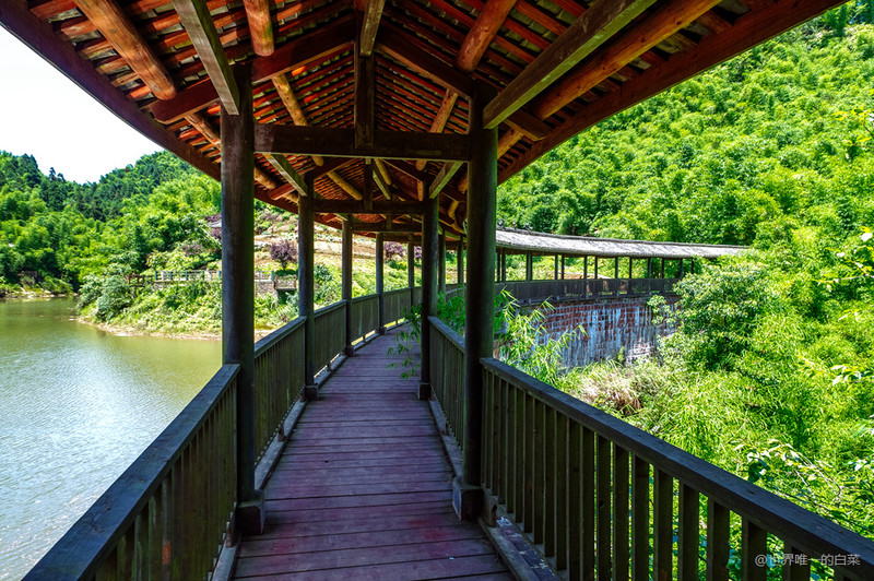 沐川竹海夏天美景,沐川竹海能避暑吗