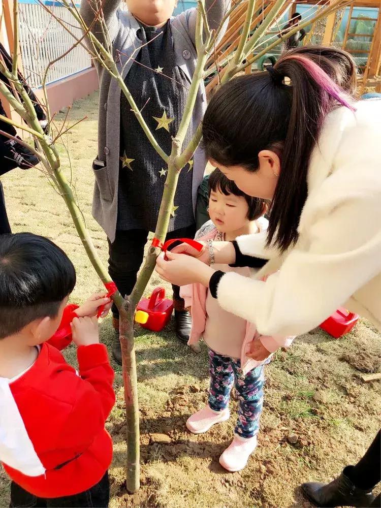 拥抱春天播种绿色植树节广播稿,拥抱春天播种绿色活动