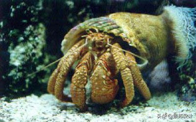 20个经典儿童小猫的小故事,20个经典小故事大道理小学生