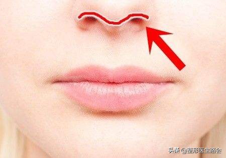 你的鼻子是怎样的,你的鼻子是什么的形状