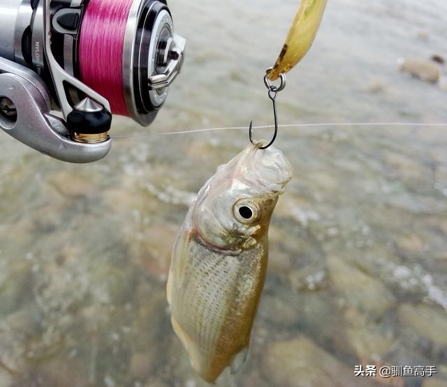 路亚马口瓜子亮片怎么防止脱钩,路亚马口亮片钓组正确组装方法