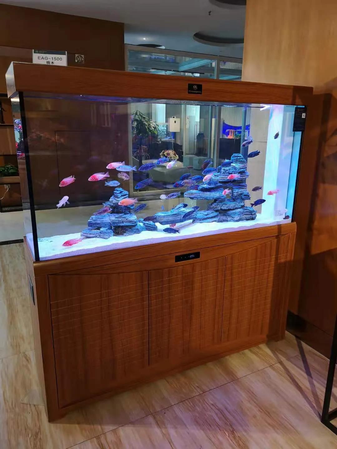 可丽爱鱼缸推荐,可丽爱鱼缸寿命