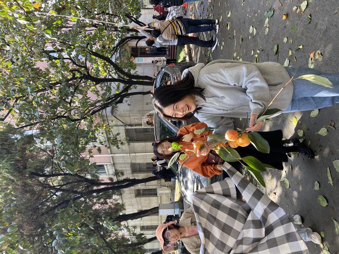 西北工业大学创意柿子大赛,西工大柿子采摘大赛第四届