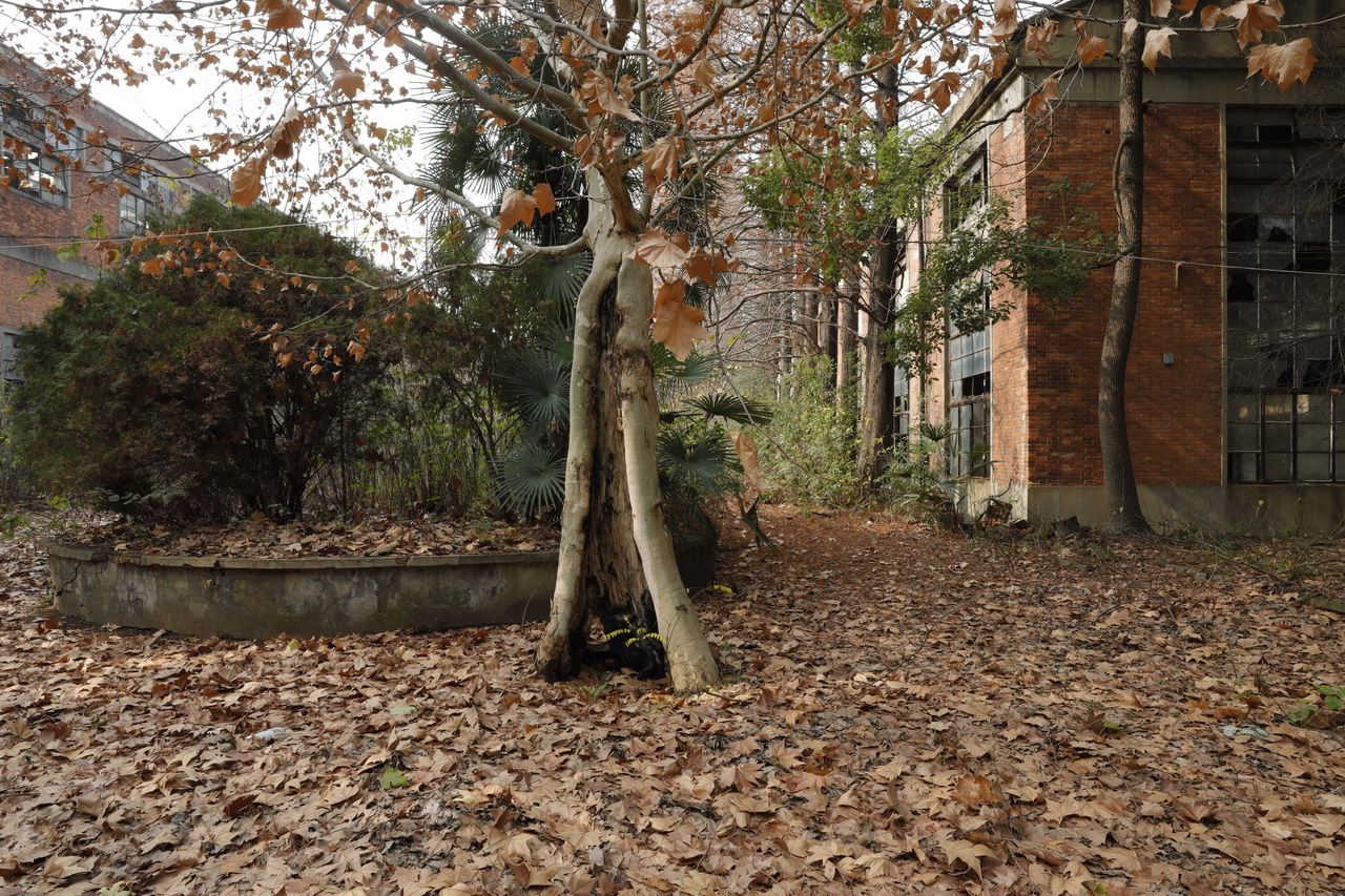 武汉轻型汽车制造厂,武汉特种车制造厂