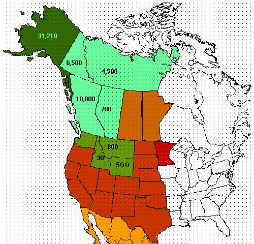 在野外遇到熊该怎么自救,户外遇见熊视频