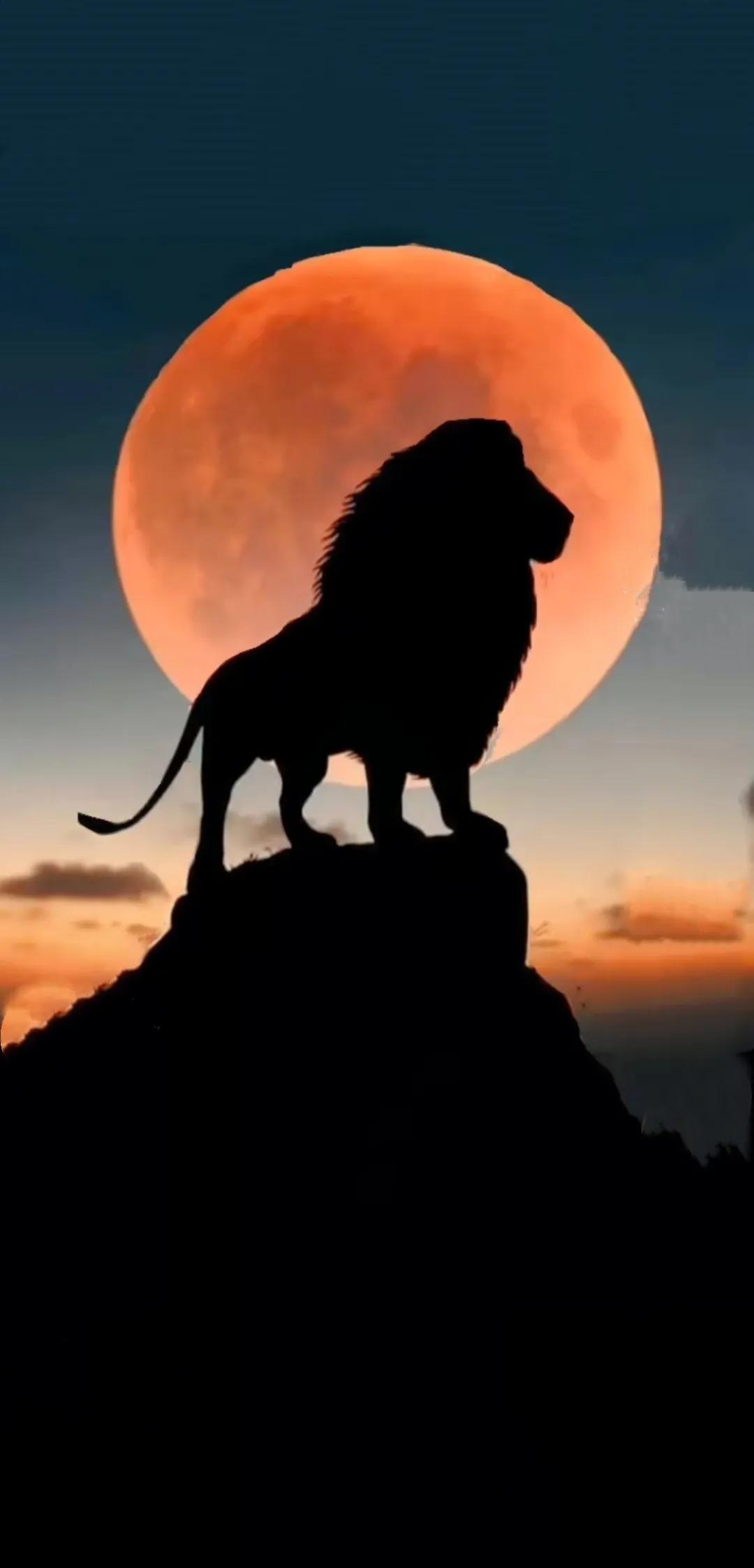 宝剑都有什么工艺,宝剑的种类和图片大全