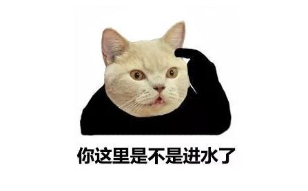 猫咪流泪有眼屎是什么原因导致的,猫咪老是流泪有眼屎什么原因