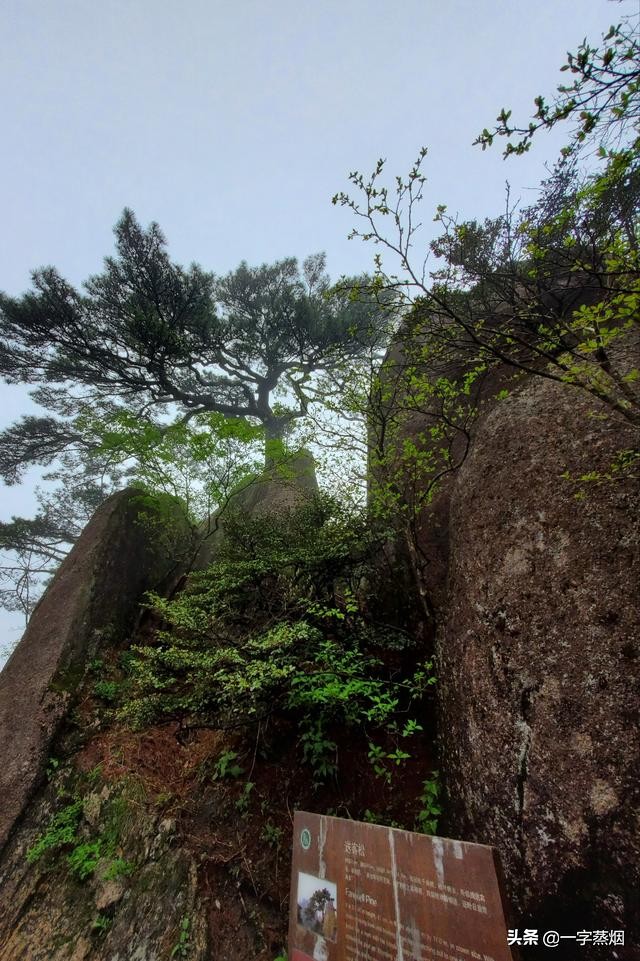 黄山索道畅游攻略,黄山畅游