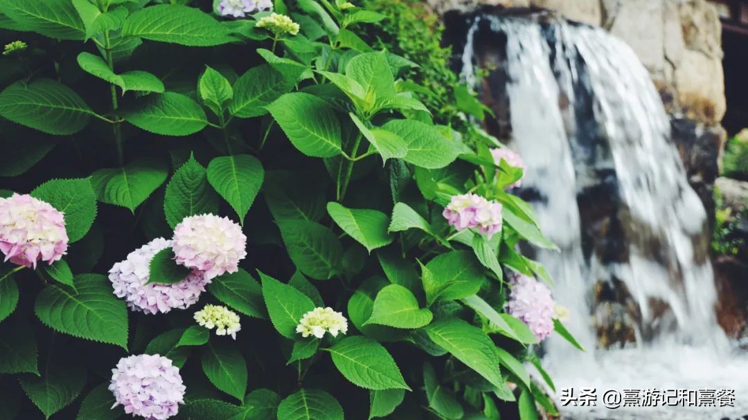 无锡拈花湾景区内客栈,无锡拈花湾民宿客栈价格