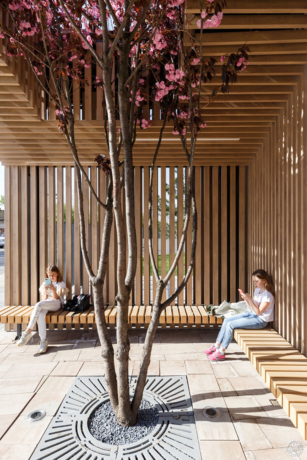 斑斓世界中的一抹白——基辅GymnasiumА+学校