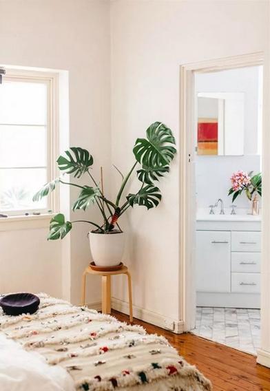 甲醛如何去除最有效的方法,正确的家庭去除甲醛的办法有哪些