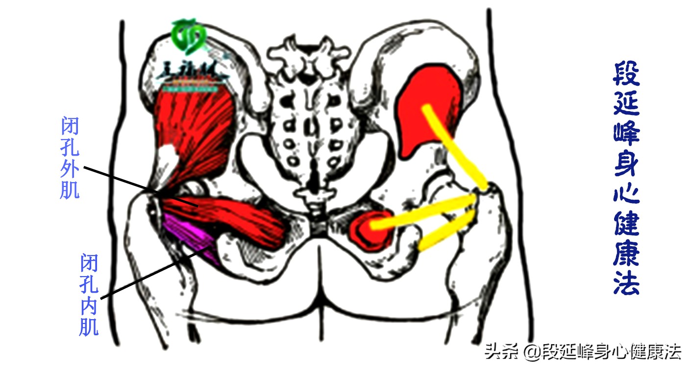 老年女性尿失禁吊带治疗有风险吗,女性尿失禁康复锻炼