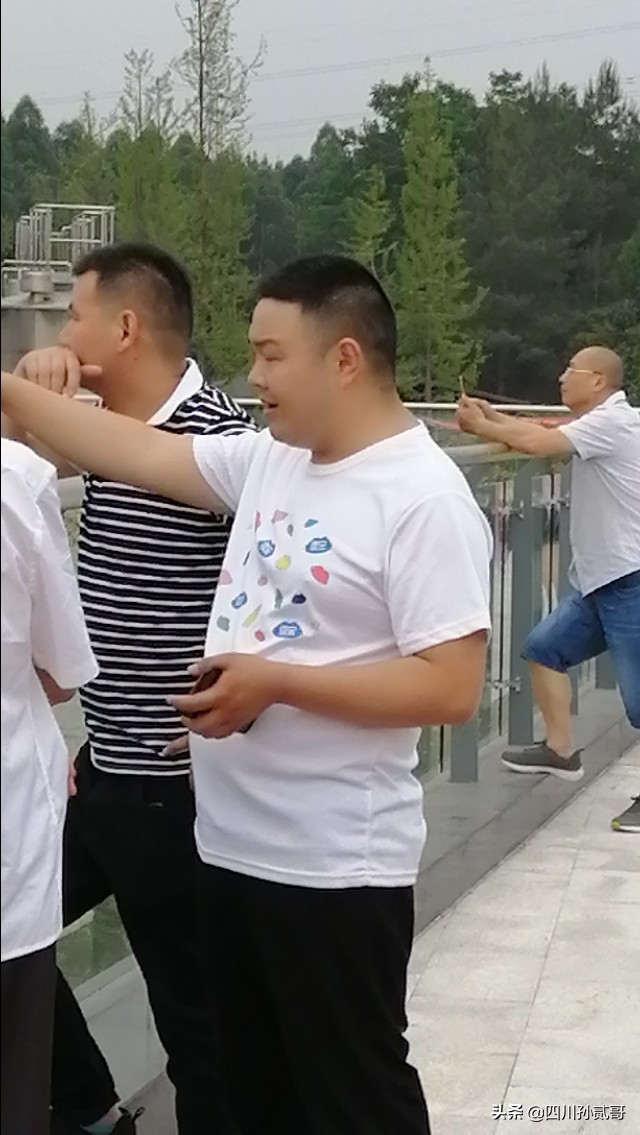 雪宝奶牛场,参观雪兰牛奶工厂心得体会