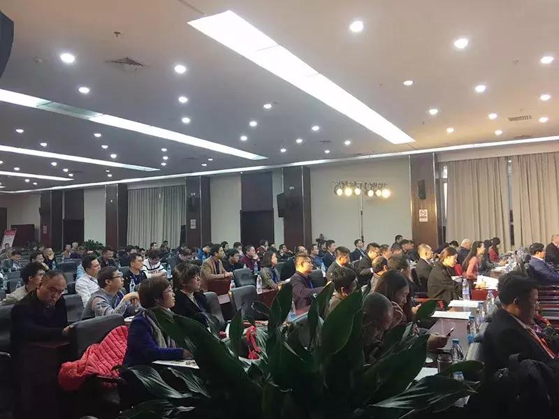 中国光伏行业直播,2020直播经济产业峰会举行