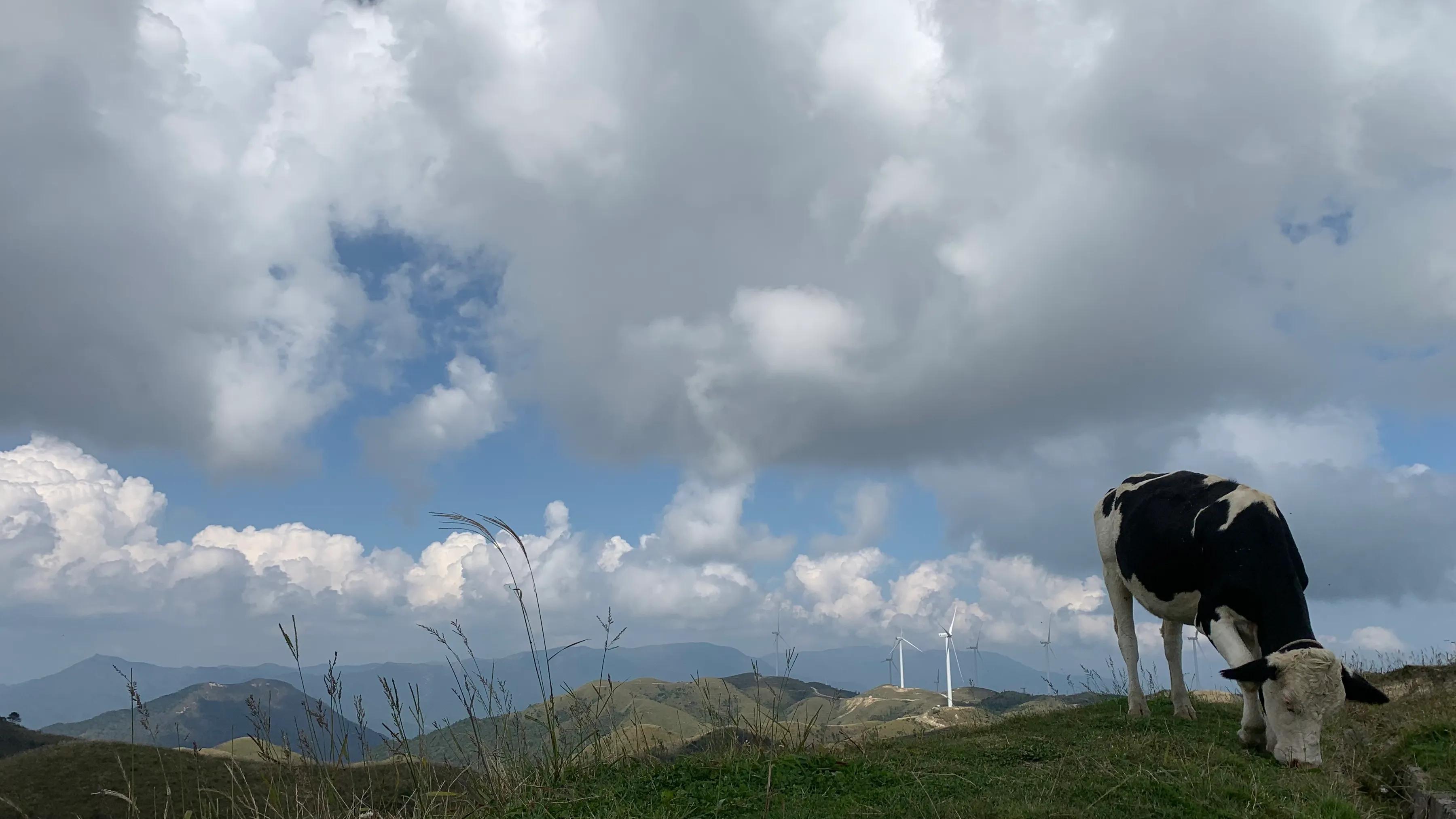 北京周边避暑负氧离子高的地方,四大避暑胜地哪个负离子最高