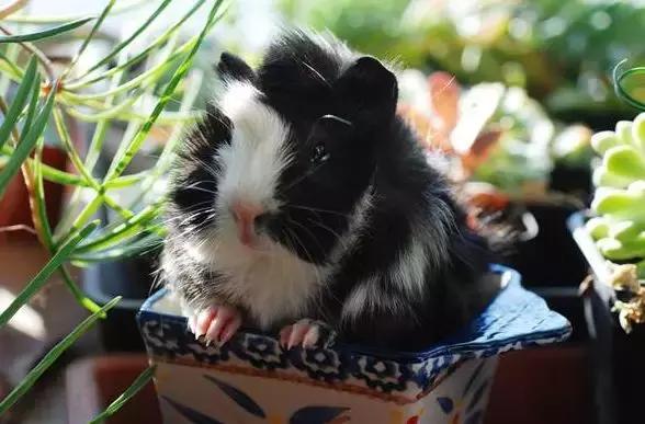 利润很吓人的100个冷门创业项目,轻资产创业项目高利润项目