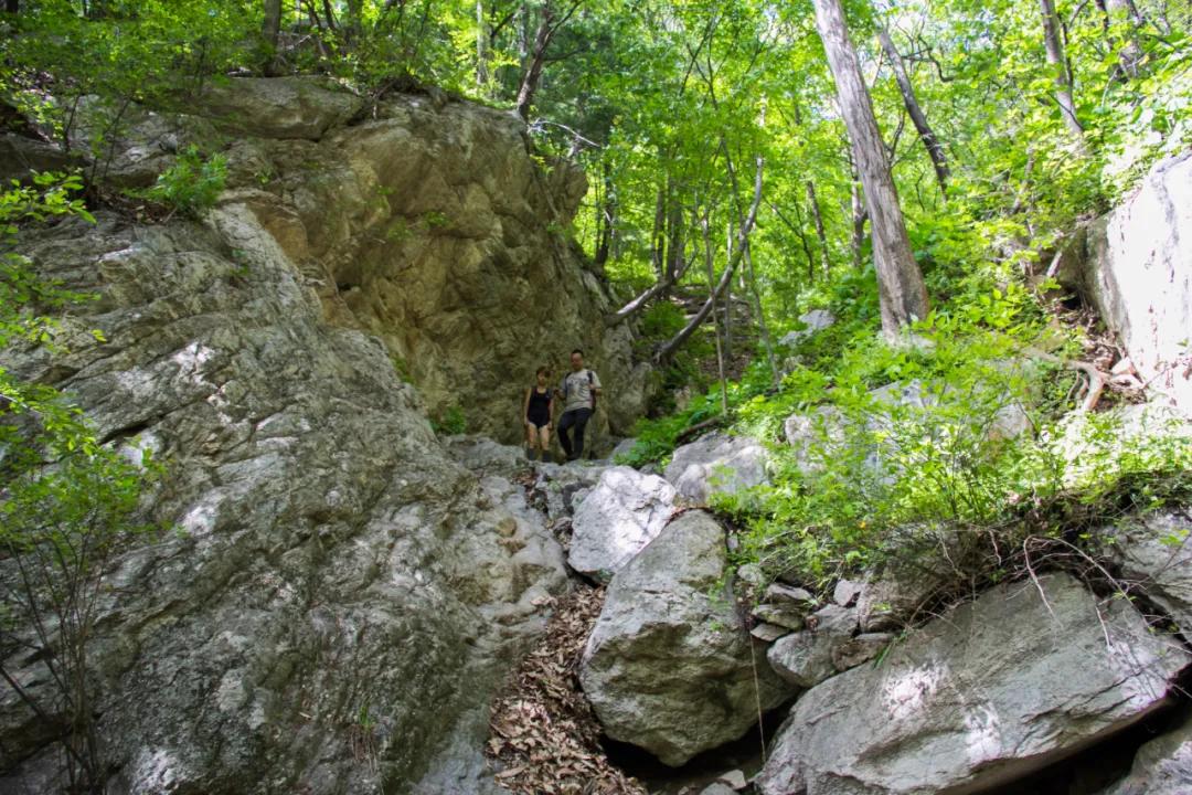 秦岭沣峪口上山有哪些景点,秦岭大坝沟瀑布