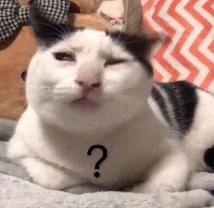 猫咪尿液除臭小苏打的使用方法,猫咪往床上尿尿了买什么除臭