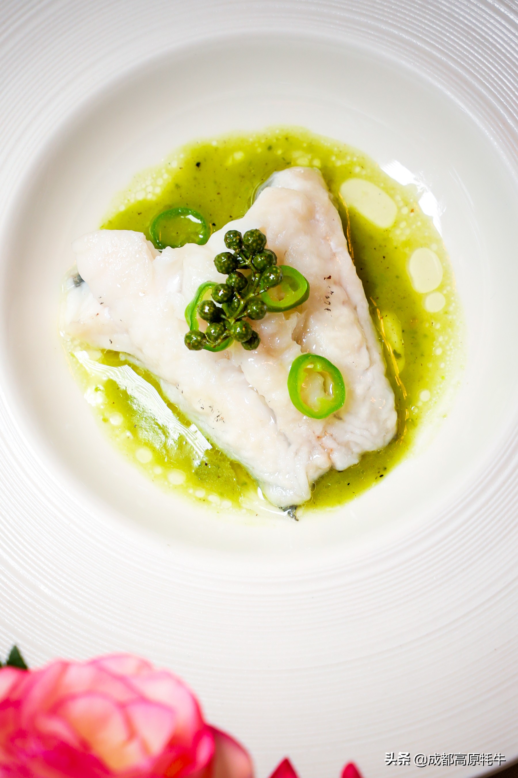 theoasistavern绿洲,theoasis清迈