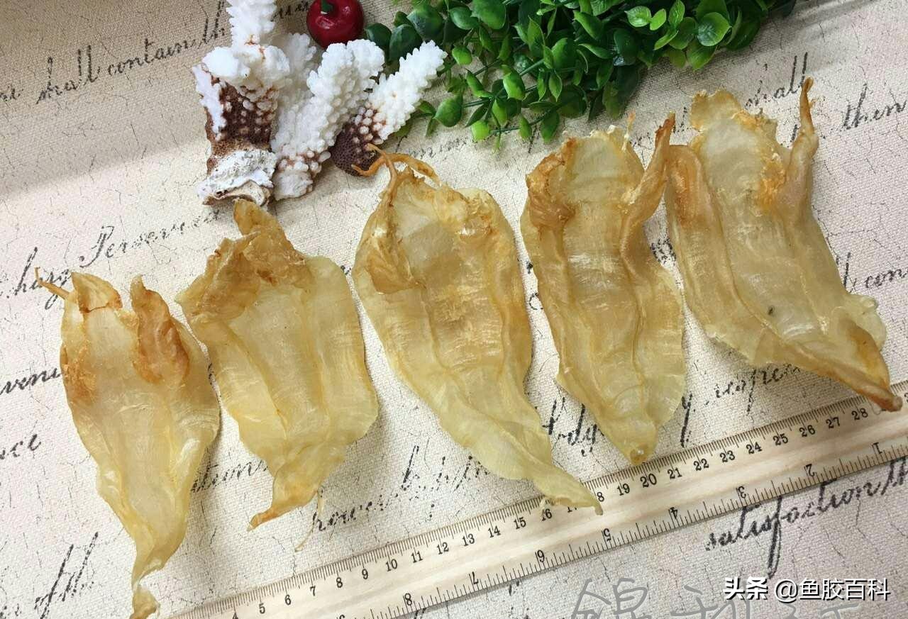 北海公胶与黄花胶哪个胶质好,即食花胶鱼胶食用方法