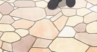 9.2分，半年后这么萌的片终于回来了