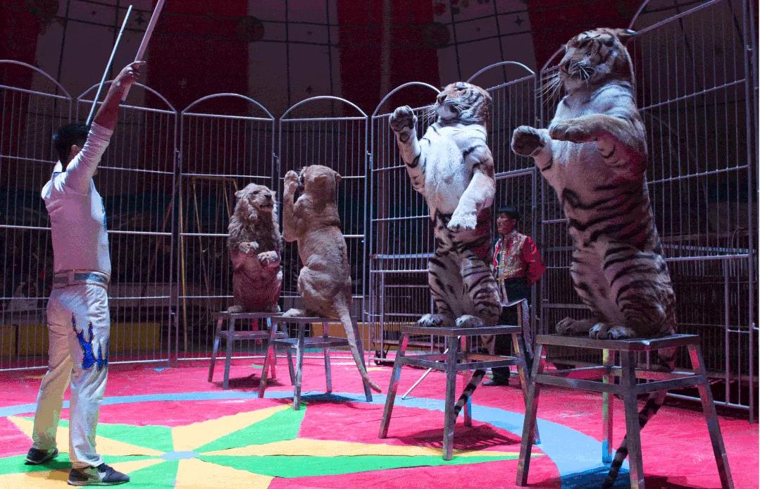 兰州新区三月游,五一兰州新区游