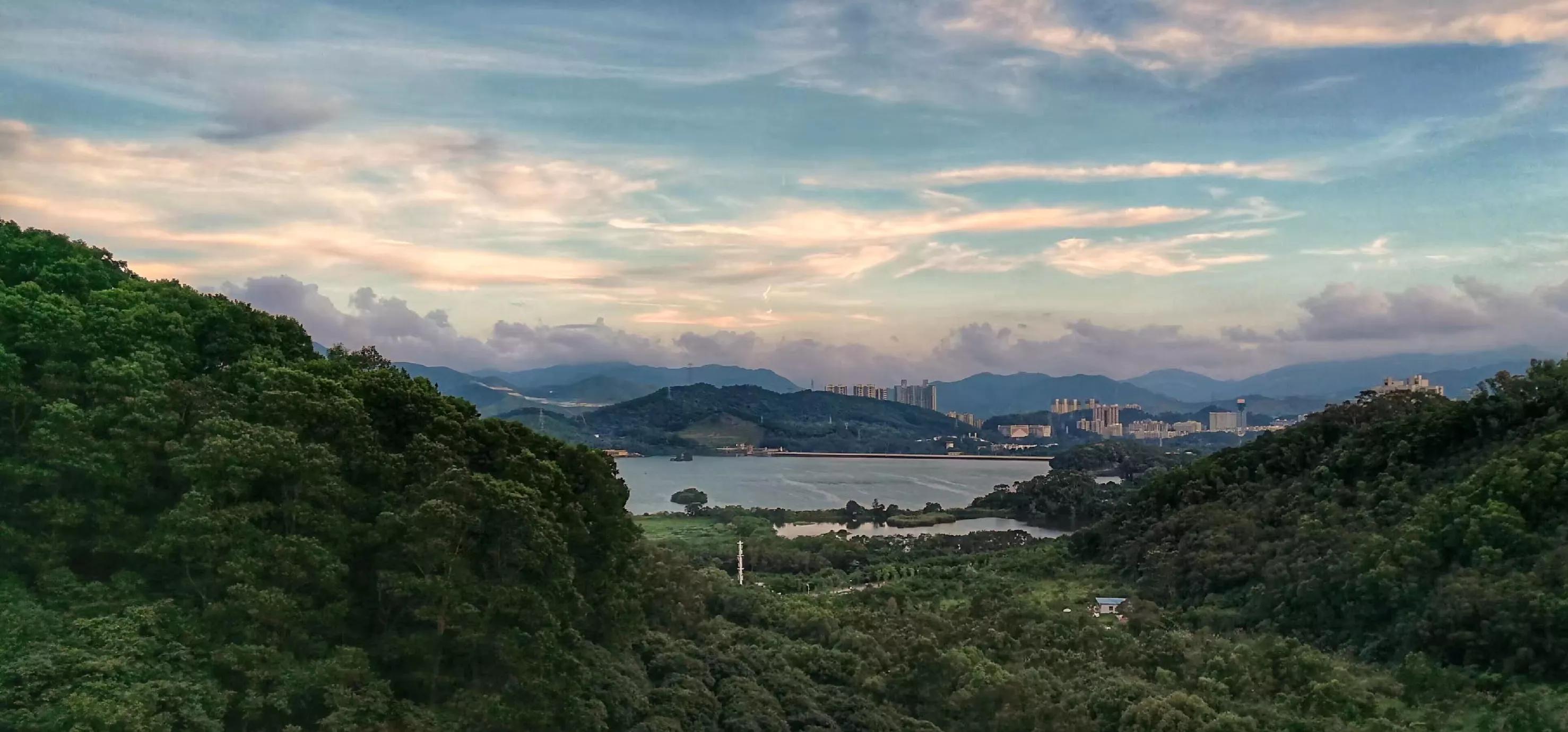 跌死狗、壆岗：接地气的深圳地名，没文化却古朴得让文化人认不得