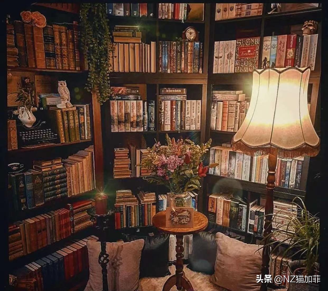 想象力丰富的人赚大钱,想象力才能帮你赚大钱