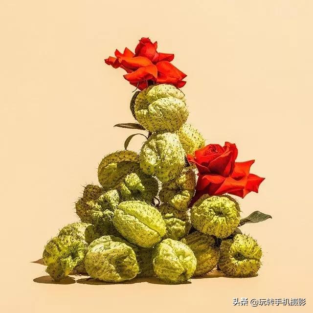 宅宅的风格拍照,绝美宅家拍照教程秒get氛围感照片