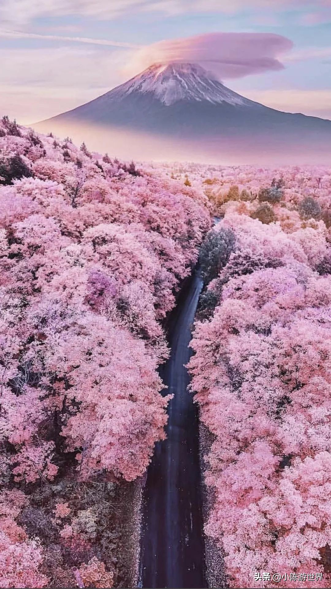 日本赴华旅行,日本赴中国旅游