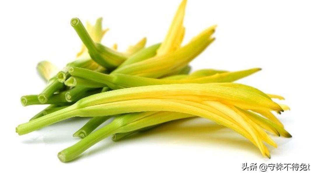 深度睡眠的人会打呼噜吗,十个冷知识助眠