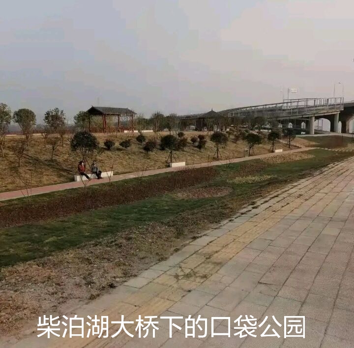 武汉阳逻发展如何,武汉阳逻老城区