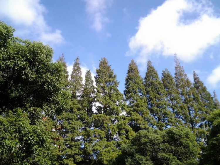 走进上海中科院,上海理工大学历史