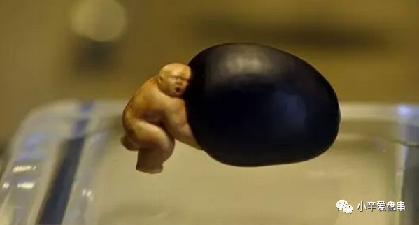 作为我国国礼的核雕——缅茄菩提