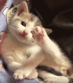 好久不拉屎什么情况,什么情况下拉屎