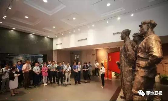 红色新丽水,红色浙西南央视