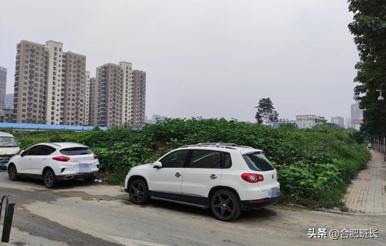 合肥瑶海保利海上明悦5号楼进展,合肥瑶海区房源保利海上明悦