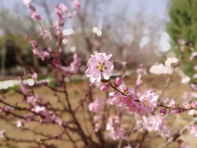 一月温暖的阳光,一月的阳光暖融融下一句