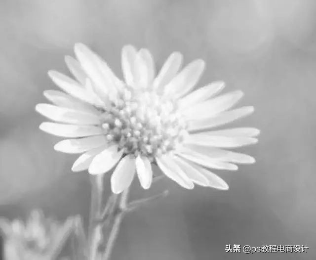 快速抠图ps人物头发,2021版ps快速抠图