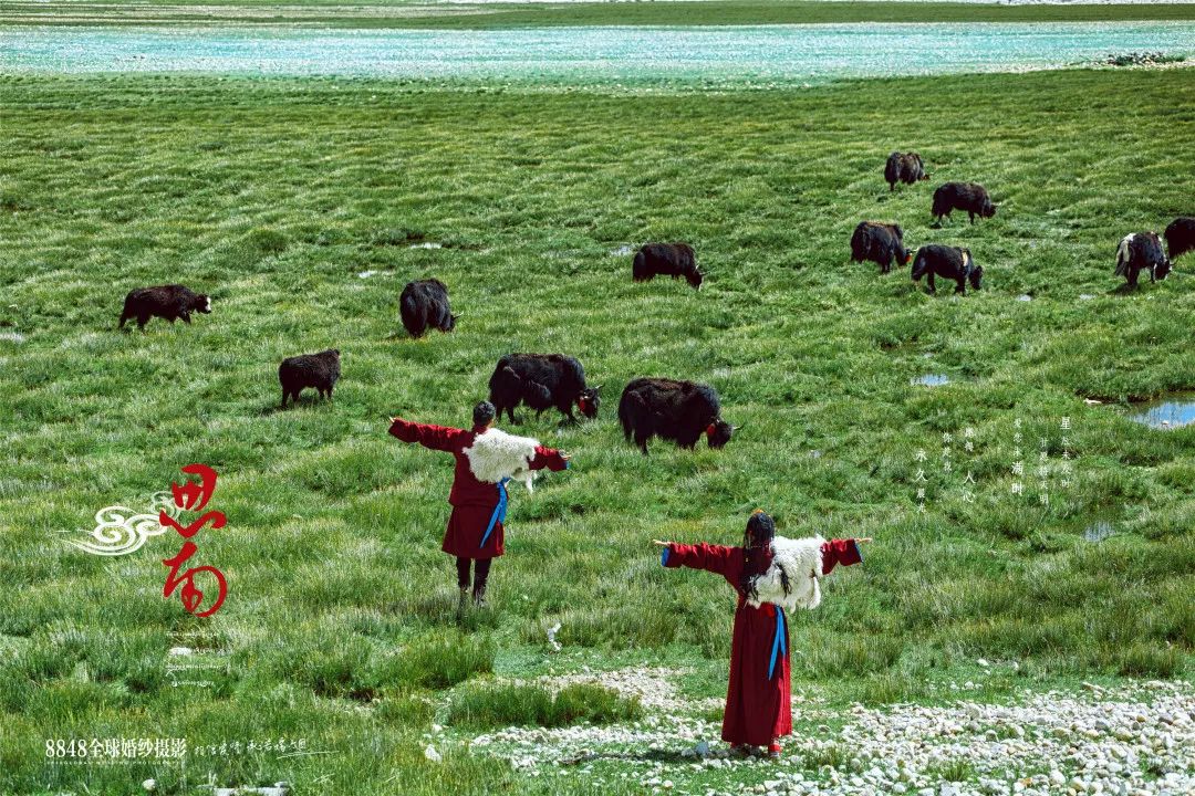 秘藏摄影西藏旅拍,8848西藏摄影展