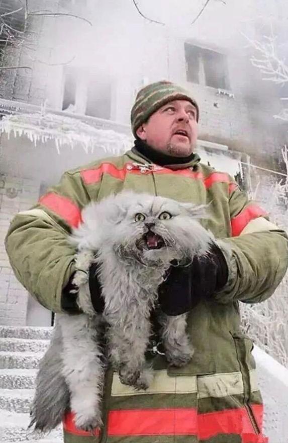 普京新传完整版,别惹我普京新传书籍