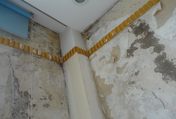 高温天气霉菌怎么处理,南方回南天除湿除霉